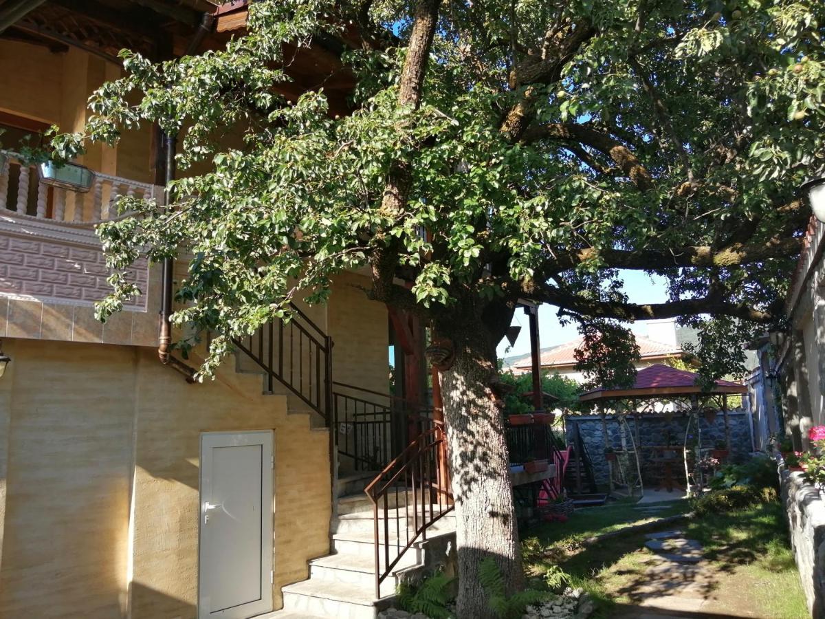 Dariya Guest House Sapareva Banya Exterior photo