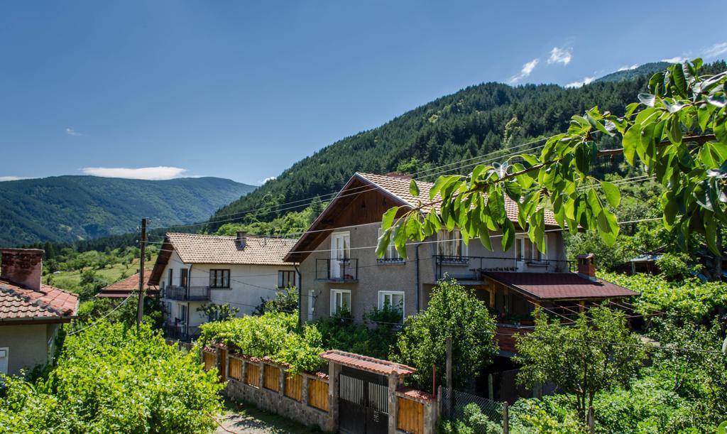 Dariya Guest House Sapareva Banya Exterior photo